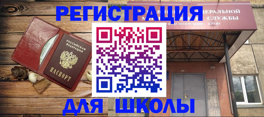временная регистрация госуслуги в Палласовке